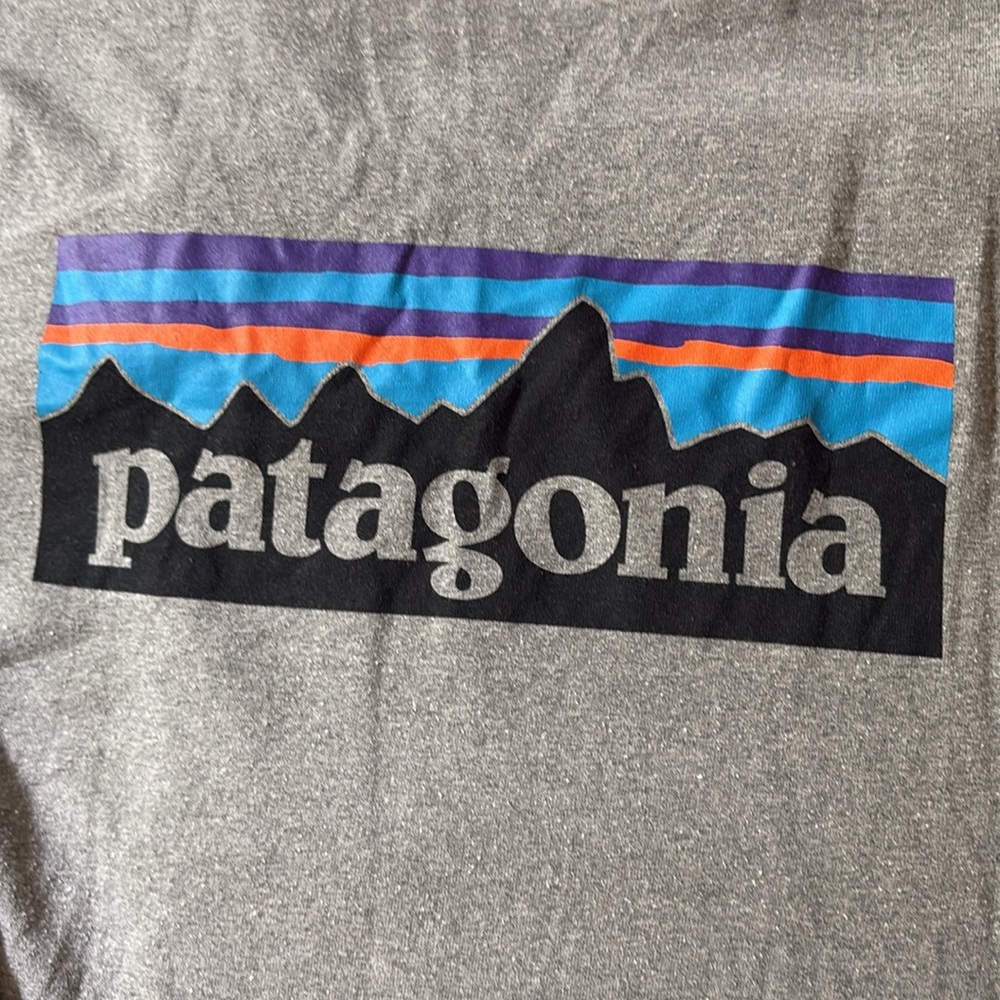 PATAGONIA Responsible-tee Logo P-6
Men’s Medium - Picture 4 of 5